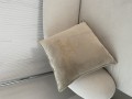IMG_6521.jpeg
